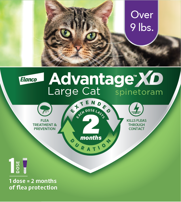 Advantage XD Topical Flea Protection for Large Cats, 1 Pk