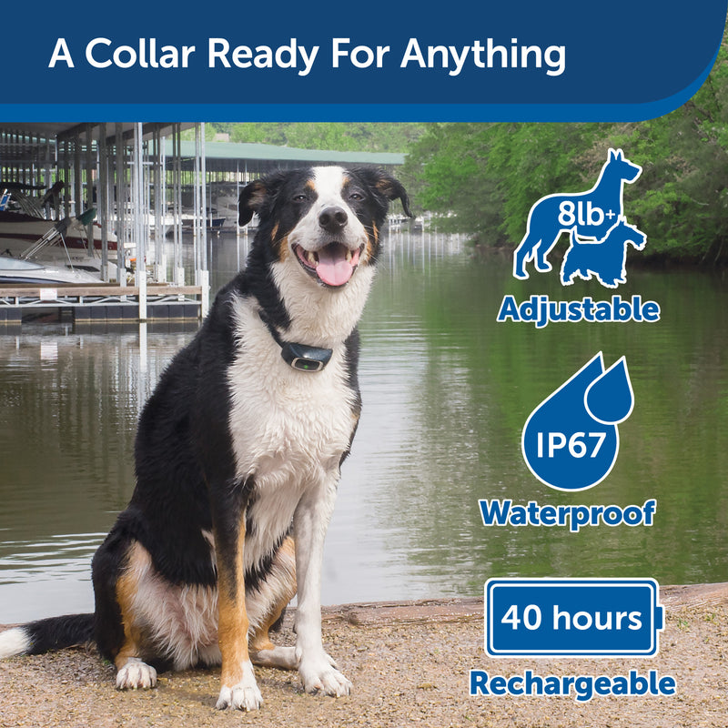 PetSafe 300 Yard Remote Training Collar – Choose from Tone, Vibration, or 15 Levels of Static Stimulation – Medium Range Option for Training Off Leash Dogs – Waterproof and Durable – Rechargeable