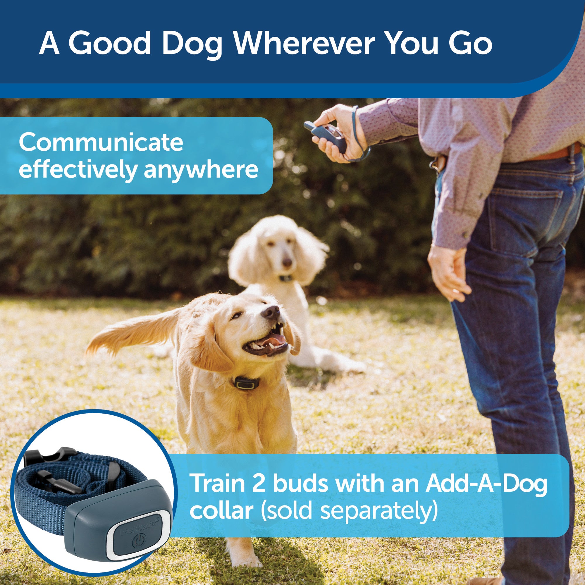 2900 FT Dog Training Collar – Rechargeable Remote, Waterproof, Shock/Vibration/Ultrasonic, PET8801