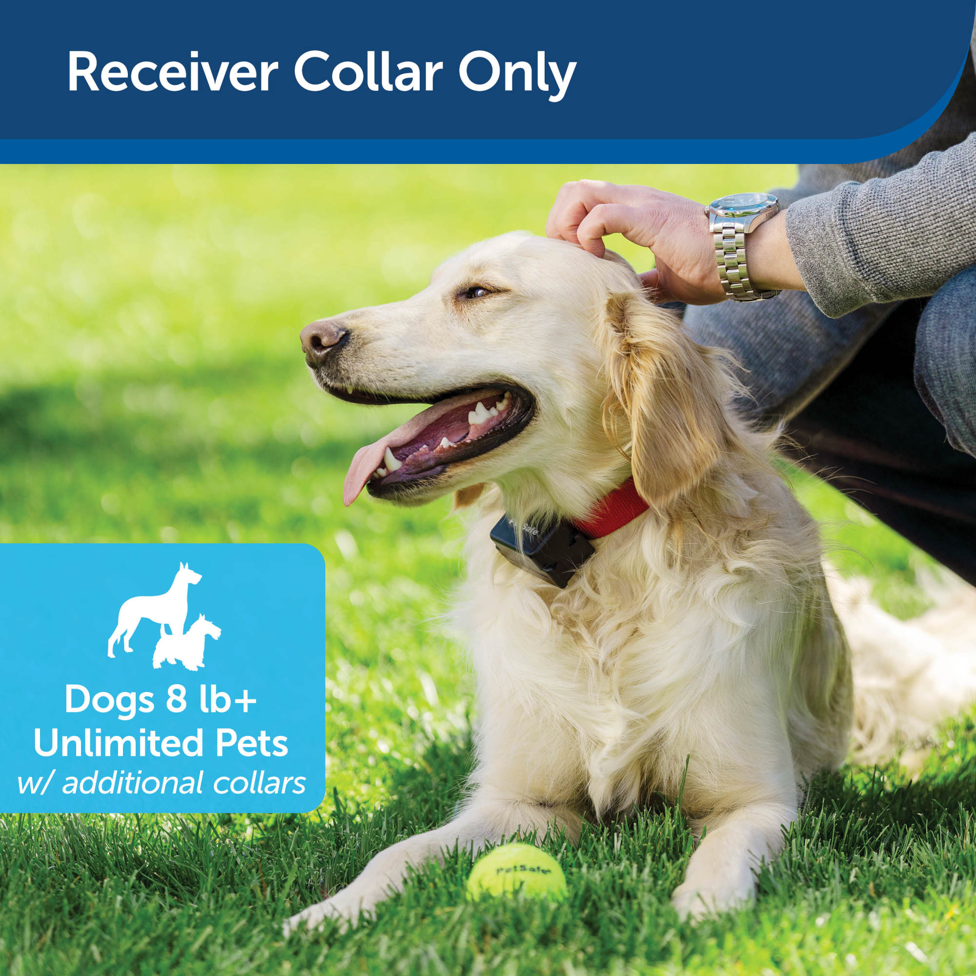 PetSafe Stubborn Dog Receiver Collar Only - In-Ground Fence Collar, Wa –  Petsense