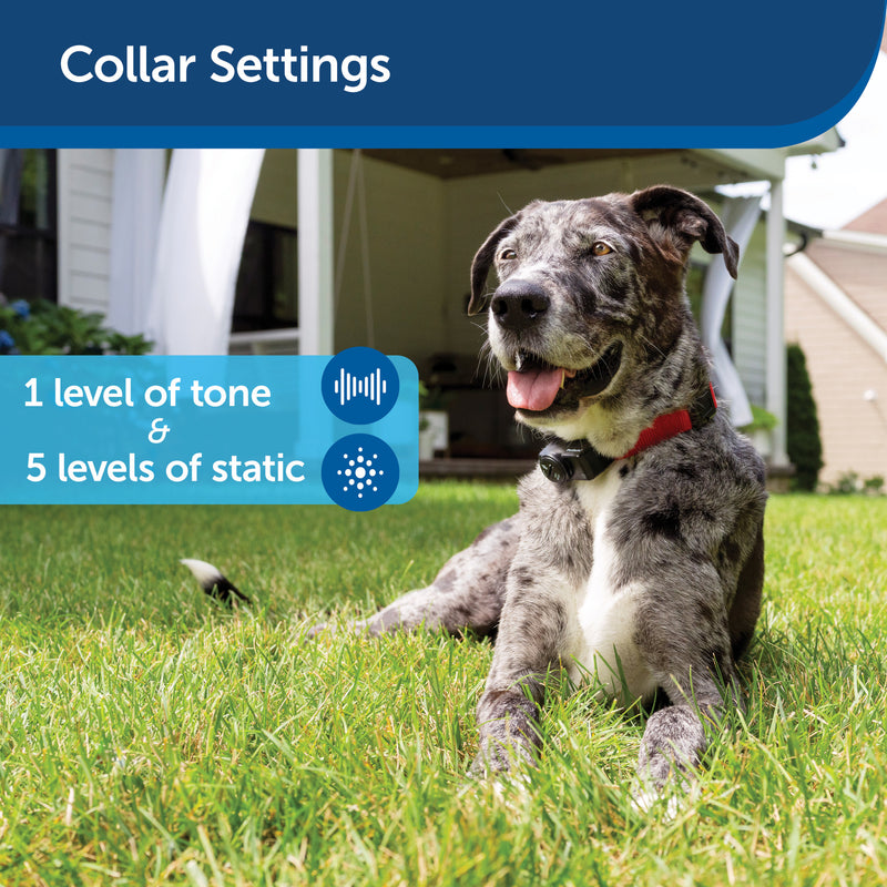 PetSafe Ultralight Receiver Collar for Dogs and Cats over 8 lb. - Waterproof with Tone and Static Correction - From the Parent Company of INVISIBLE FENCE Brand