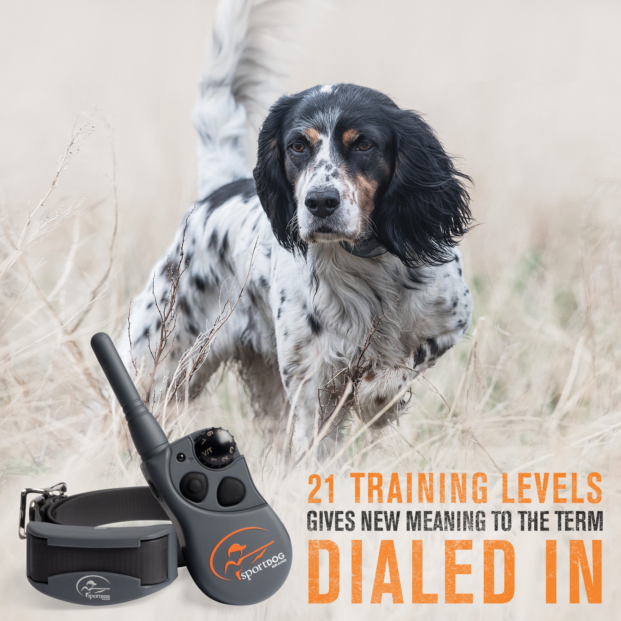 SportDOG Brand FieldTrainer 425X Remote Trainer - Rechargeable Dog